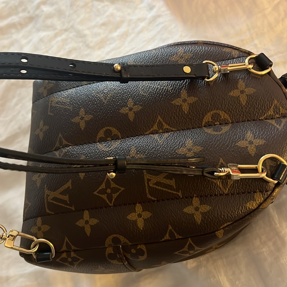 Louis Vuitton Palm Springs Mini Backpack - Picture 8 of 10